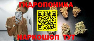 бошки Краснодар
