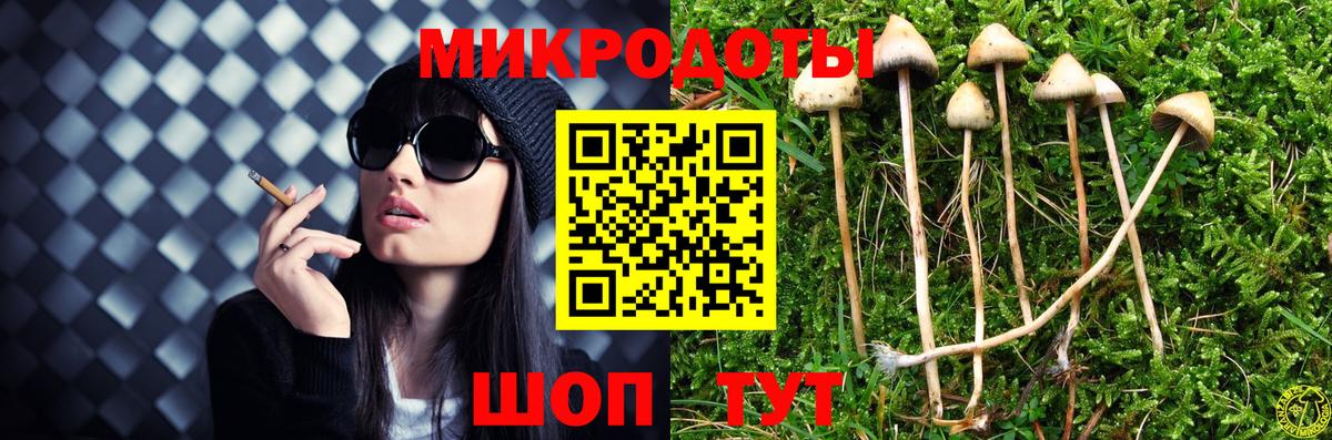 Галлюциногенные грибы Psilocybe  Вход с VPN  Галлюциногенные грибы ЛСД  Тверь 