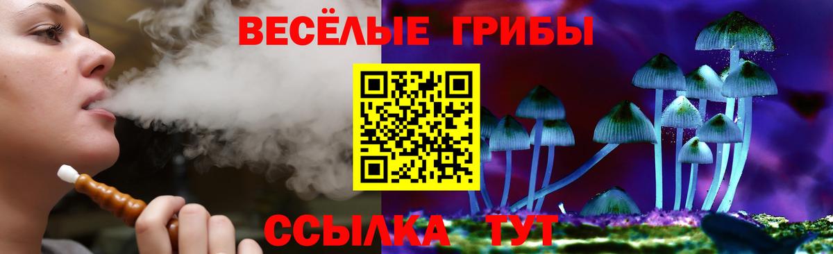 Псилоцибиновые грибы ЛСД Тверь