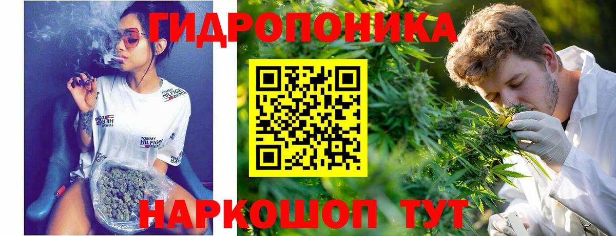 Конопля Amnesia  Вход с VPN  Тверь  Бошки марихуана MAZAR 